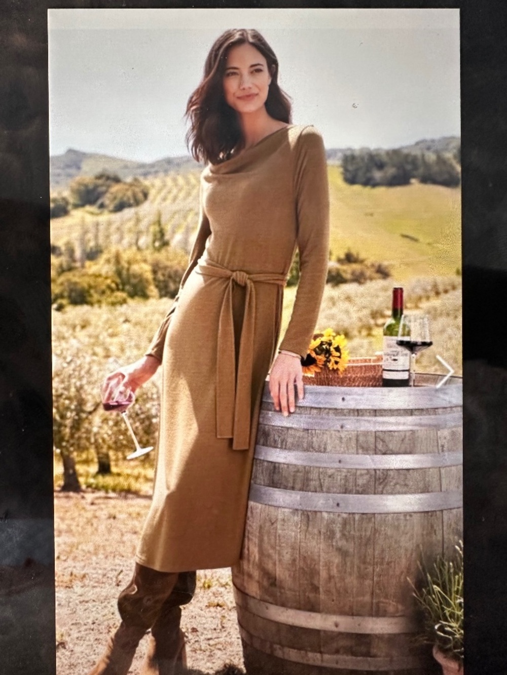 NWT. Soft Surroundings Paula Dress. XS